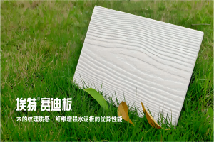 埃特?賽迪板